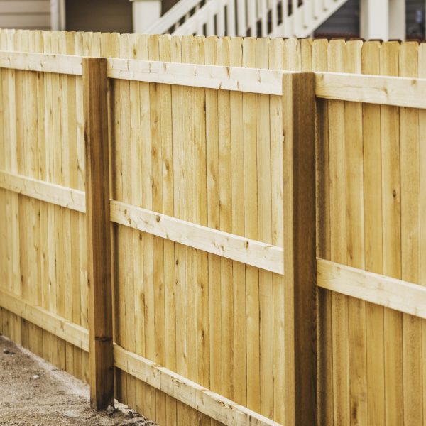 Newly installed fencing in back yard